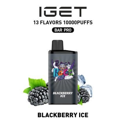 BLACKBERRY ICE IGET BAR PRO