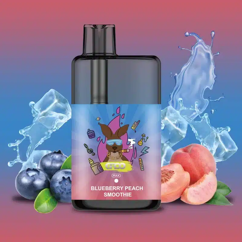 GROO MAX BLUEBERRY PEACH SMOOTHIE – 10000 PUFFS